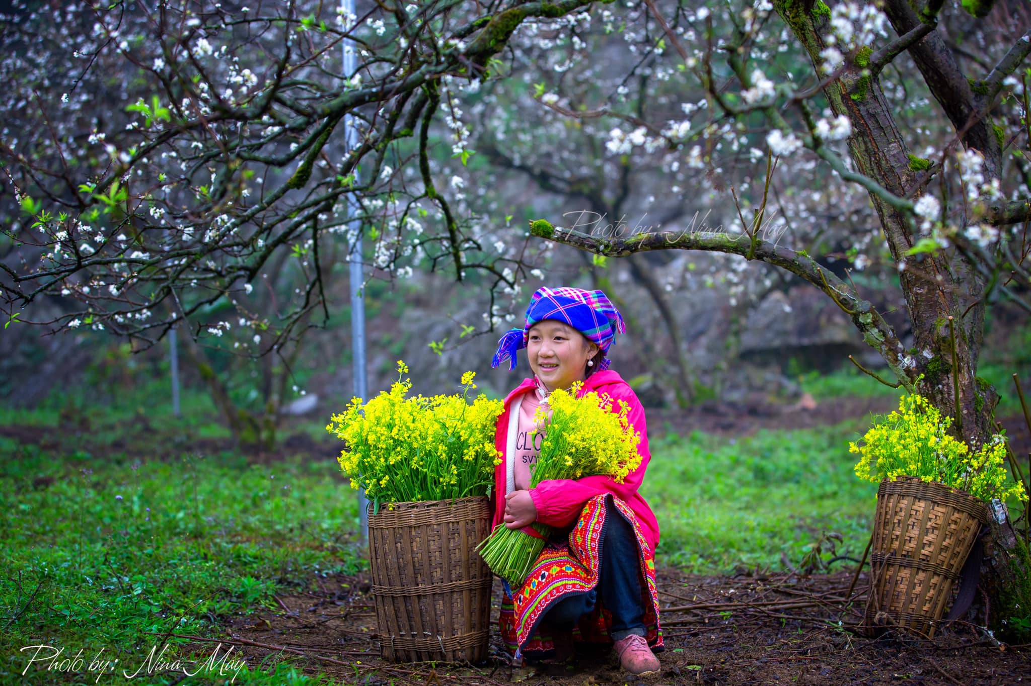 4 best destinations and things to do in Vietnam in spring