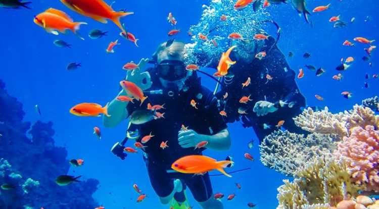 Nha Trang Vietnam:All You Should Know Before You Travel Nha Trang Vietnam:All You Should Know Before You Travel